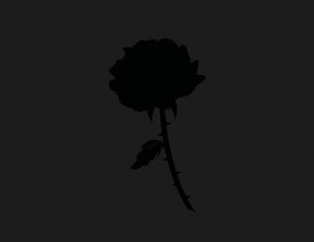 1366x768 Fondo de pantalla de rosas en blanco y negro de Flores, Rosa negro  - Todo fondos