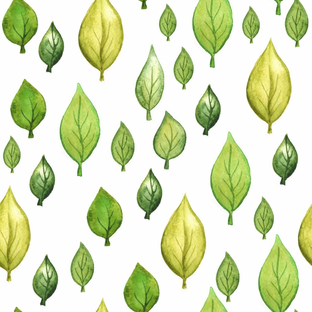 1500x1500 Papelador de hojas verdes pastel de Colores, Verde Pastel - Todo  fondos
