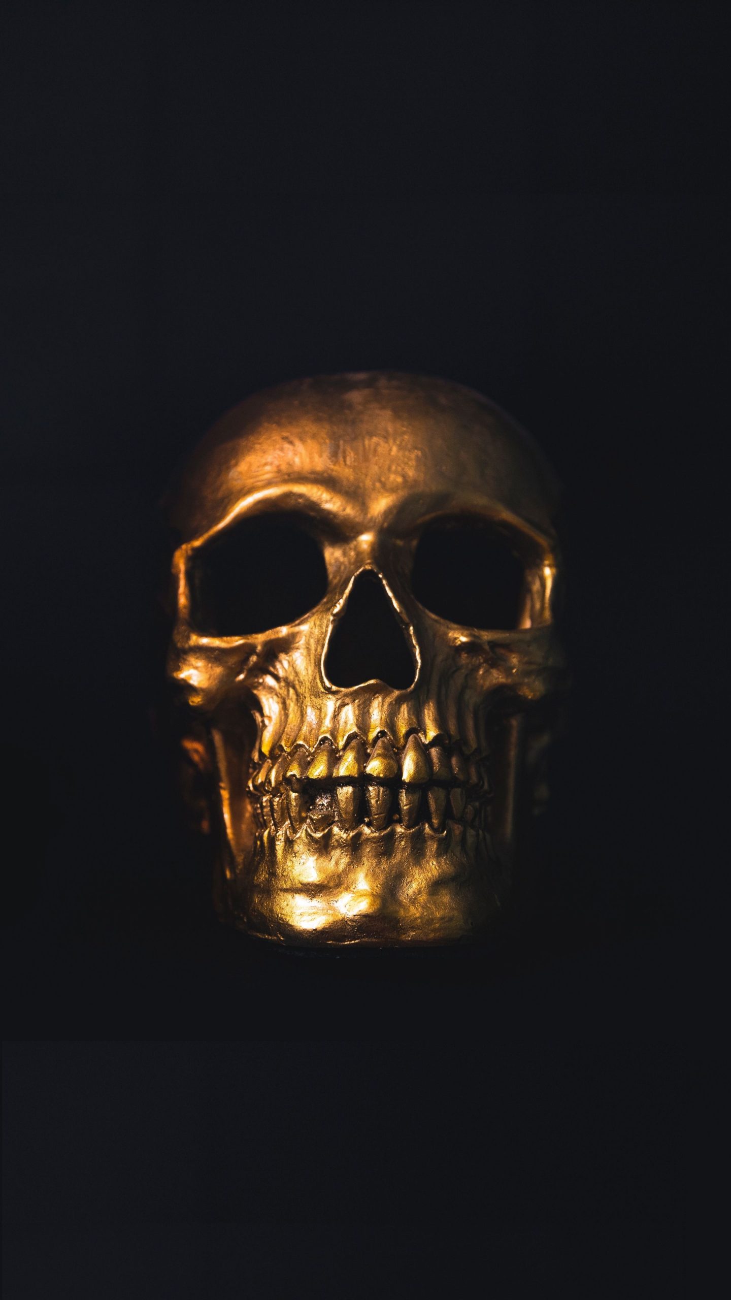 Golden skull steam фото 37