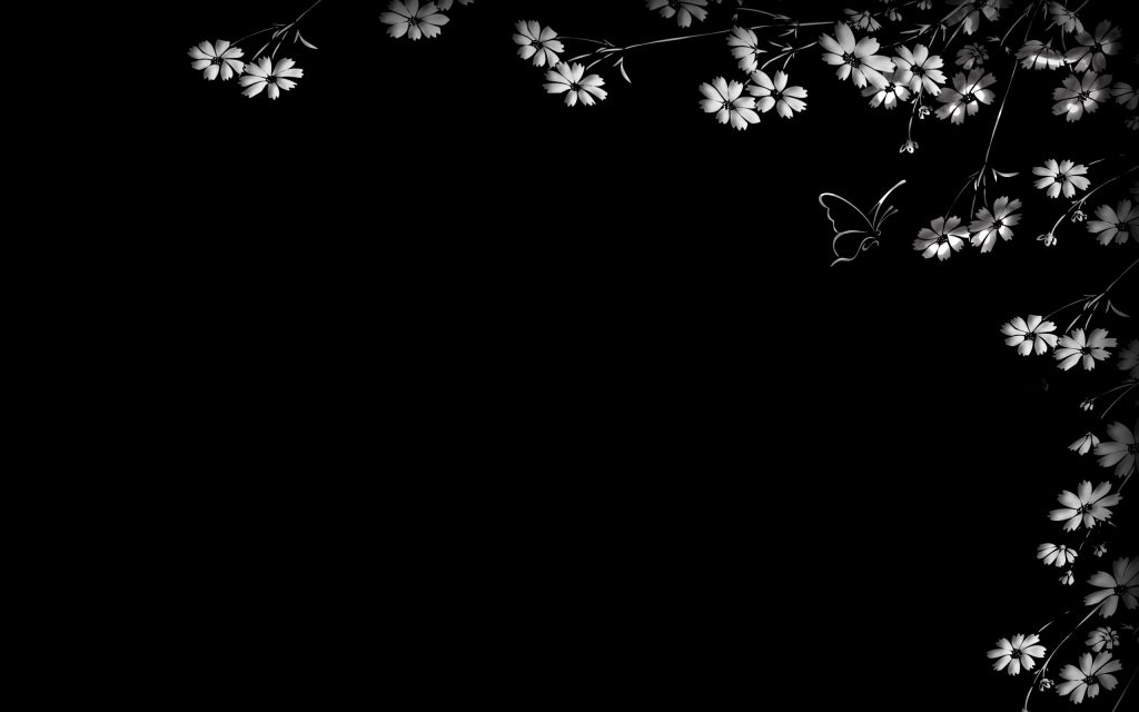 2560x1600 Flores blancas y negras Fondo de pantalla HD de Flores, Flores  Blanco y Negro - Todo fondos