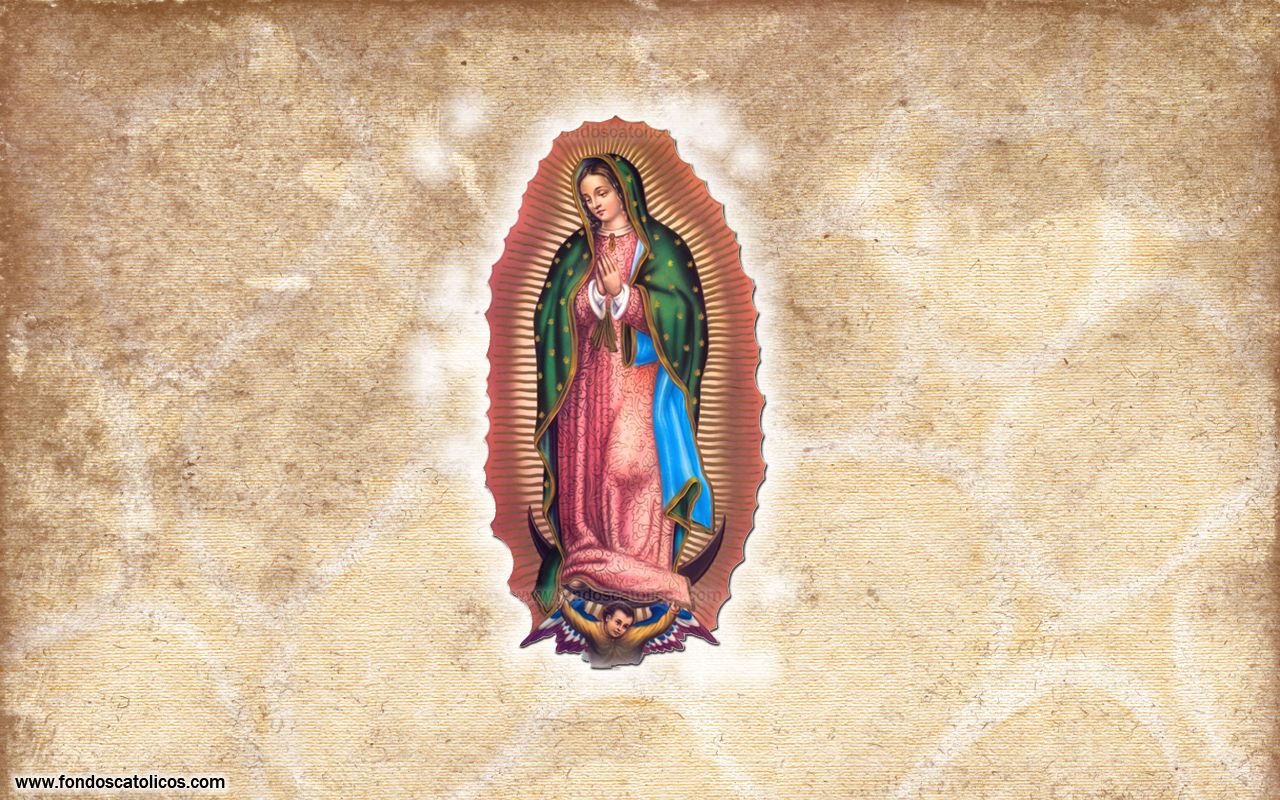 1280x800 Papel de pantalla de Virgen Maria. Virgen de de Virgen De  Guadalupe, Virgen De Guadalupe - Todo fondos