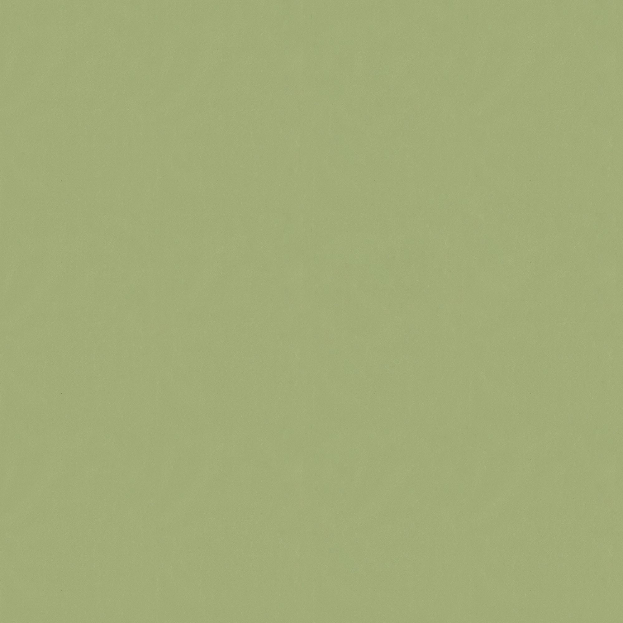 Fondo de pantalla verde liso 2000x2000. Wallpaper verde liso. de Colores,  Verde liso - Todo fondos