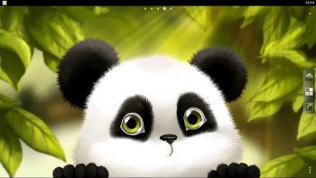 Fondo de pantalla de Lazy Panda de Animales, Pandas - Todo fondos