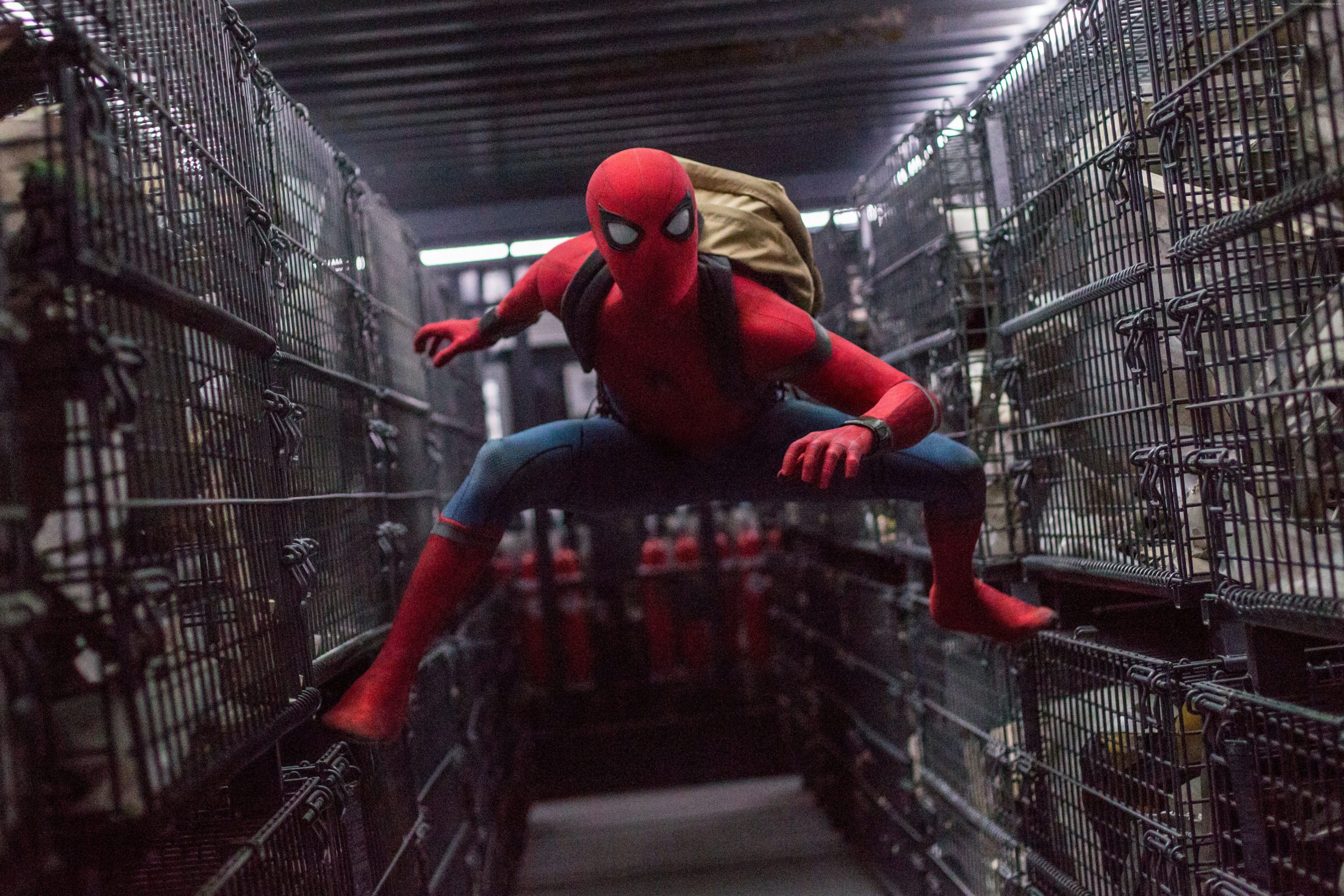Wallpaper Spider Man: Regreso a casa, 4k, 8k, Tom Holland, Marvel de 4K  Marvel, Películas - Todo fondos